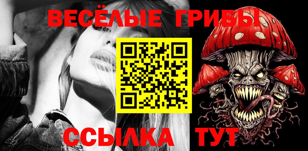 Галлюциногенные грибы Psilocybine cubensis Моздок