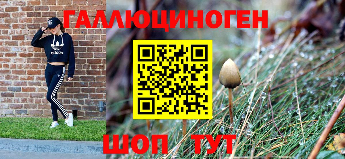 Псилоцибиновые грибы мухоморы  Вход с VPN  Моздок  продажа наркотиков  Галлюциногенные грибы Cubensis 